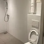 Hoeveheikant 캠프장 *