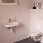 Hoeveheikant * Lage Mierde