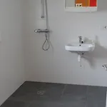 Hoeveheikant * Lage Mierde