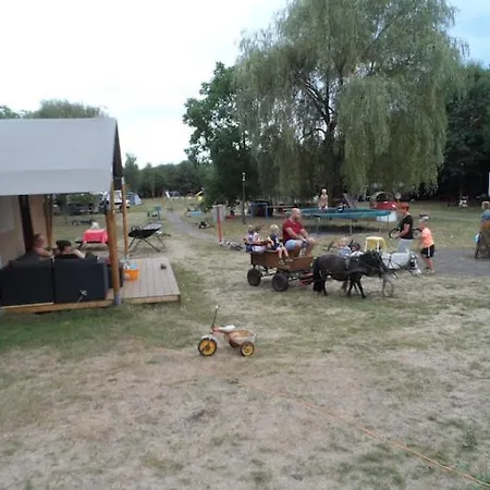 Hoeveheikant Lage Mierde