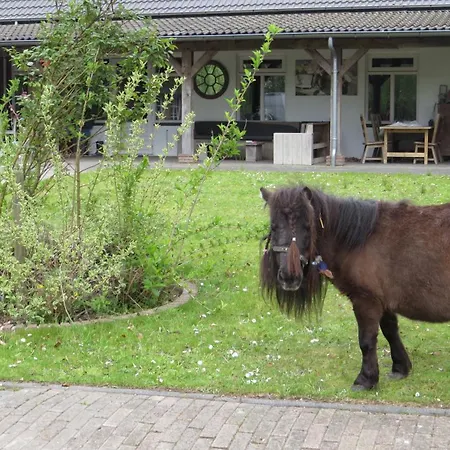 Campsite Hoeveheikant