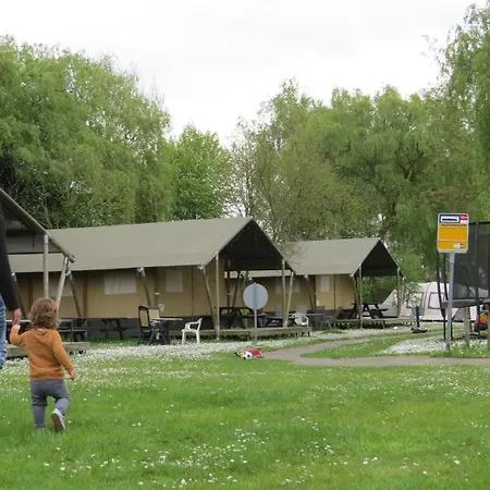 Hoeveheikant Lage Mierde