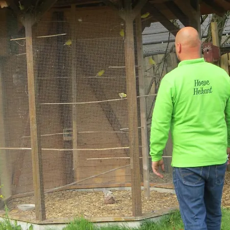 Campsite Hoeveheikant Lage Mierde