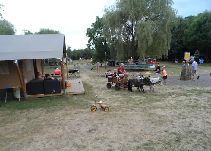 Hoeveheikant Lage Mierde