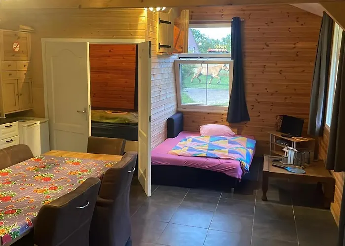 キャンプ場 Hoeveheikant Lage Mierde