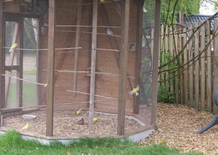 Hoeveheikant キャンプ場