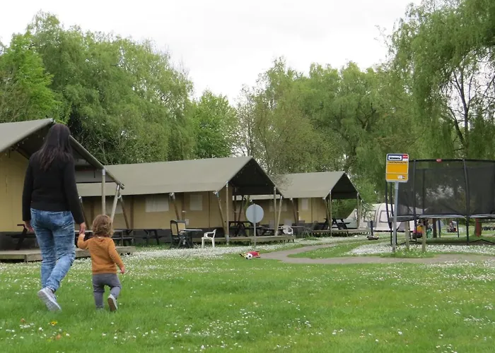 Hoeveheikant Lage Mierde