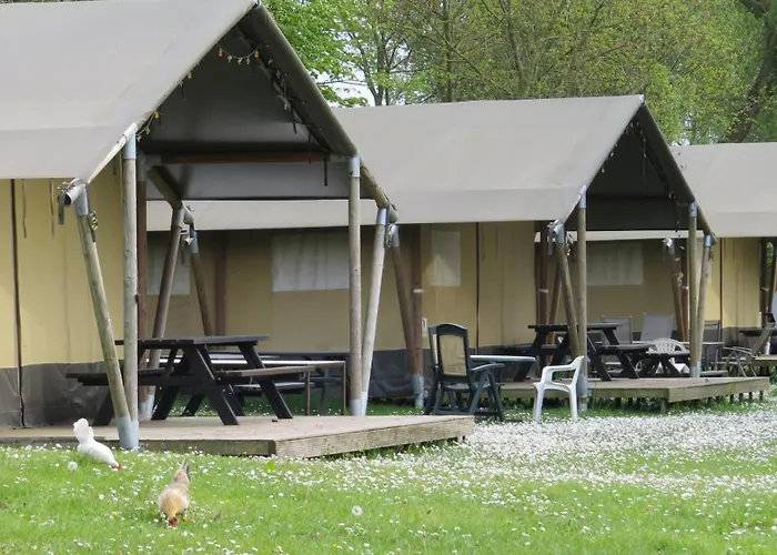 キャンプ場 Hoeveheikant Lage Mierde