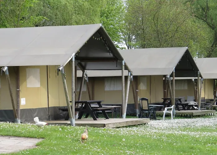 Hoeveheikant キャンプ場