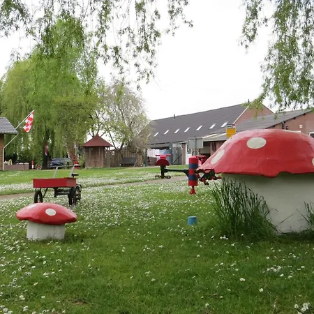 Hoeveheikant * Lage Mierde